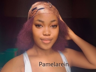 Pamelarein