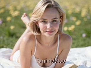 Paninidolce
