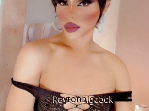 Paytonbigcock