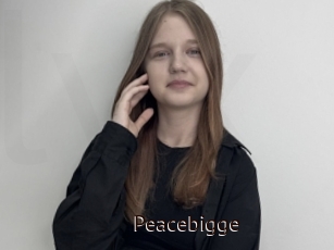 Peacebigge