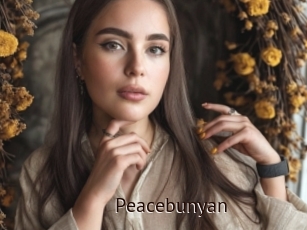 Peacebunyan