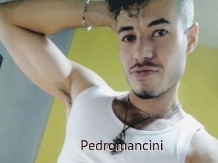 Pedromancini