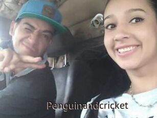 Penguinandcricket