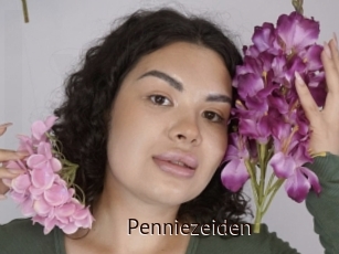 Penniezeiden