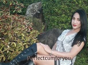 Perfectcumforyou