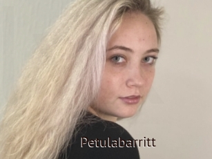 Petulabarritt