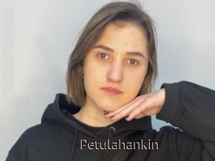Petulahankin