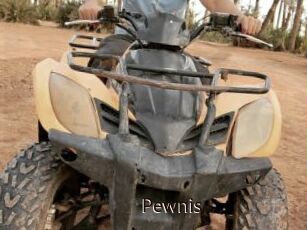 Pewnis
