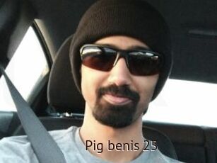 Pig_benis_25