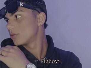 Pigboyx