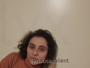 Pisicutacalient