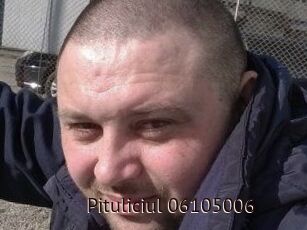 Pituliciul-06105006