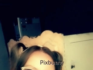 Pixbunny