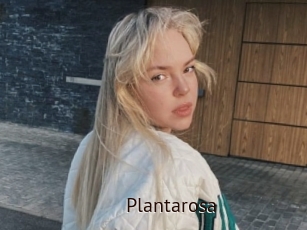Plantarosa