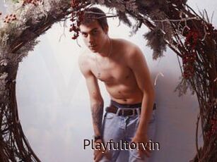 Playfultorvin
