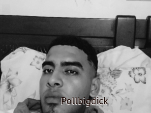 Pollbigdick