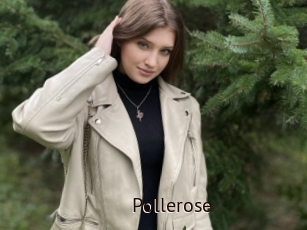 Pollerose