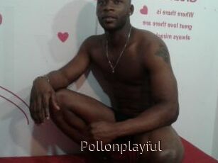 Pollonplayful