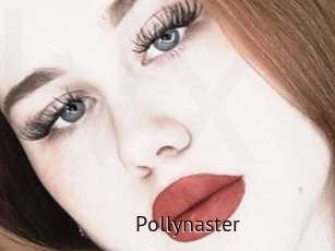 Pollynaster