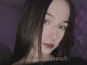 Primrosebranch