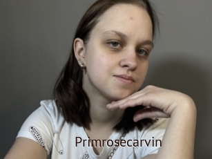 Primrosecarvin