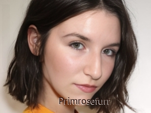 Primrosefurr