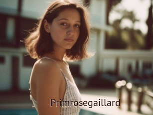 Primrosegaillard