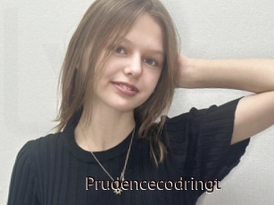 Prudencecodringt