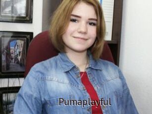 Pumaplayful