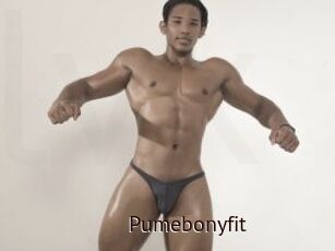 Pumebonyfit