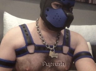 Puprush