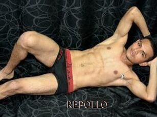 REPOLLO