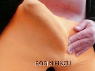 ROBIN_FINCH