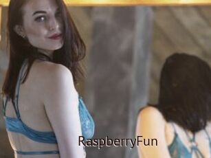RaspberryFun