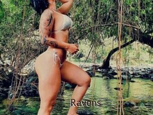 Ravens