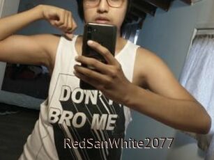 RedSanWhite2077