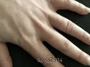 Rosa2904