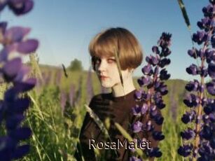 RosaMalet