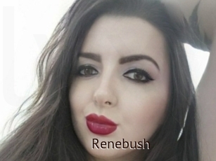 Renebush