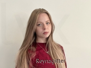 Reynagitter