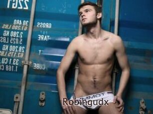 Robingudx