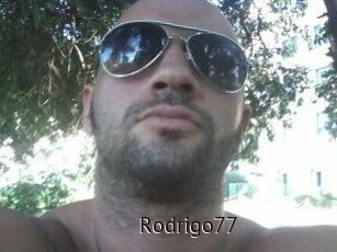 Rodrigo77