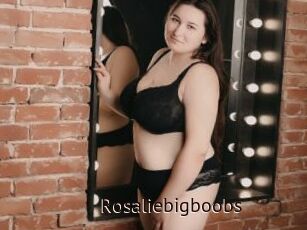 Rosaliebigboobs
