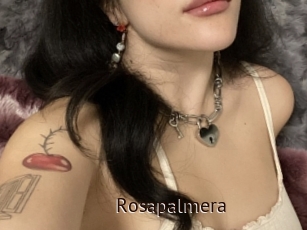 Rosapalmera