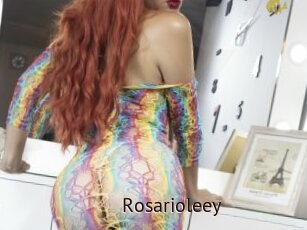 Rosarioleey