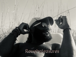 Roughpleasures