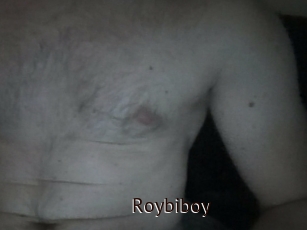 Roybiboy