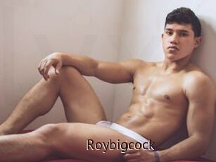 Roybigcock