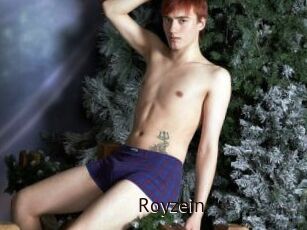 Royzein