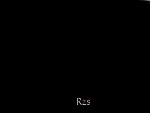 Rzs